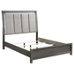 Kieran Wood Queen LED Panel Bed Grey	224741Q