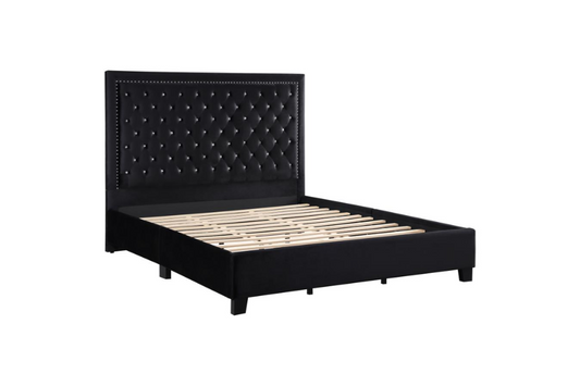 Hailey Upholstered Queen Panel Bed Black 315925Q