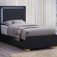 Marceline Wood Twin LED Panel Bed Black 222831T