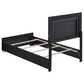 Marceline Wood Twin LED Panel Bed Black 222831T